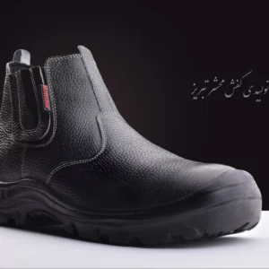 پوتین ایمنی کیهان